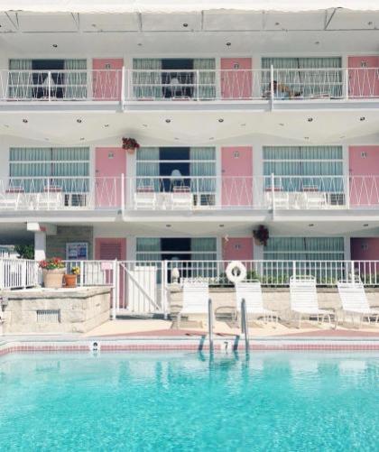 Pink Champagne Motel - image 2