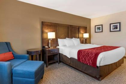 Comfort Inn Williamsport - image 13