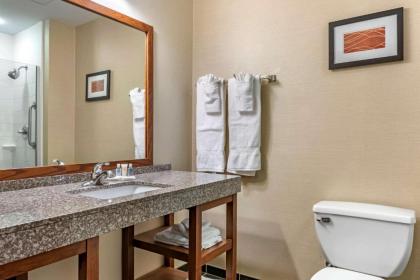 Comfort Inn Williamsport - image 15