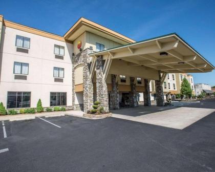 Comfort Inn Williamsport - image 2