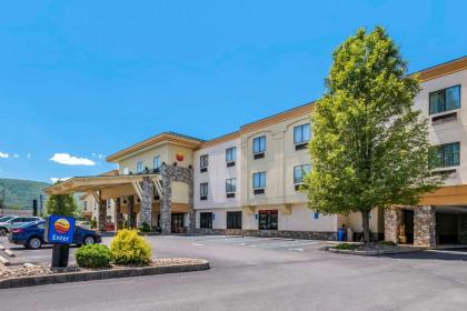 Comfort Inn Williamsport - image 7