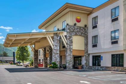 Comfort Inn Williamsport - image 8