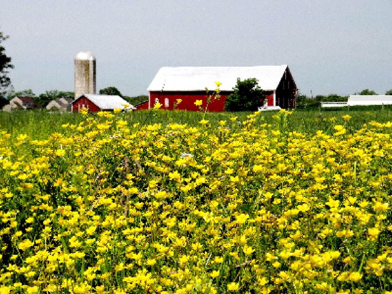 Elmwood Farm B&B - main image