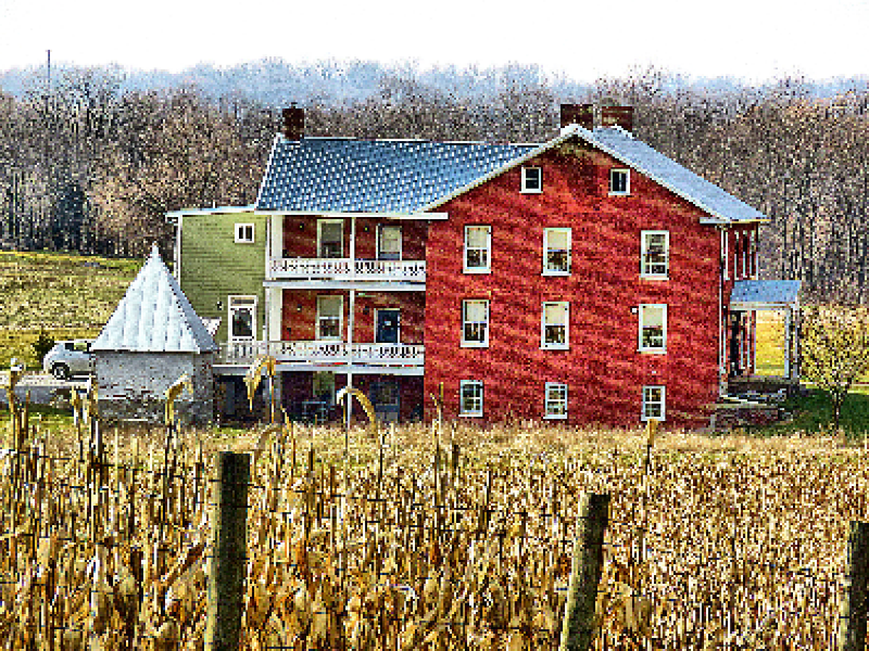 Elmwood Farm B&B - image 4