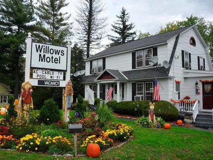 Willows Motel - image 14