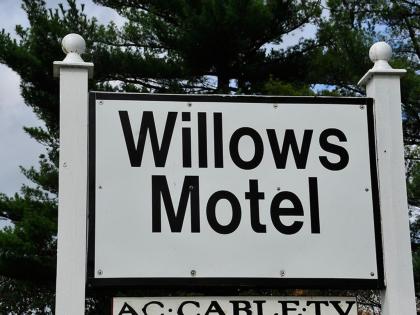 Willows Motel - image 5