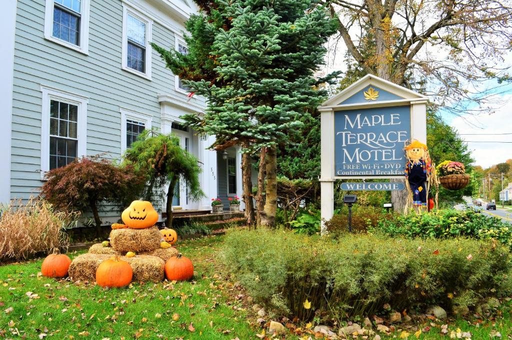 Maple Terrace Motel - main image