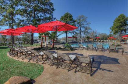 Lake Conroe One-Bedroom Cabin 3 - image 15