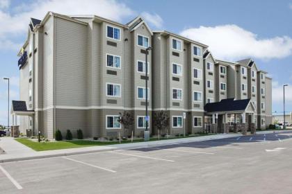 Microtel Inn & Suites by Wyndham Williston - image 10