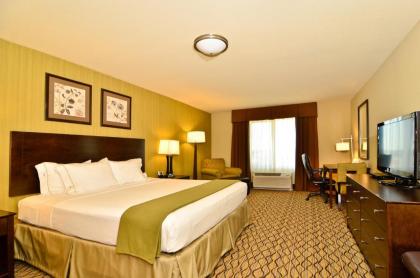 Holiday Inn Express & Suites - Williston an IHG Hotel - image 11