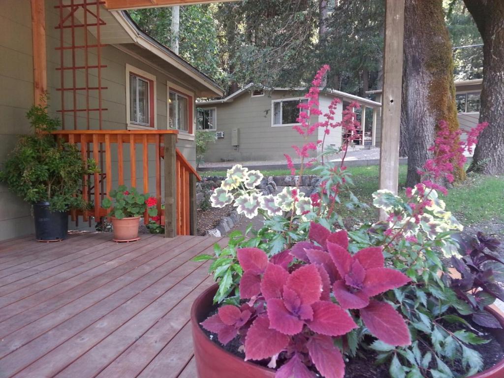 China Creek Cottages - main image