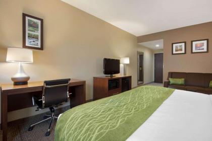 Comfort Inn Willow Springs - image 3