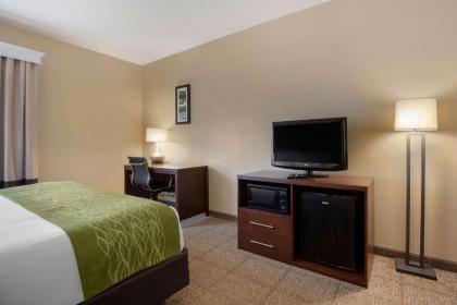 Comfort Inn Willow Springs - image 5