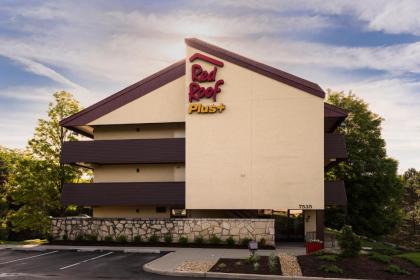 Red Roof Inn PLUS+ Chicago - Willowbrook - image 3