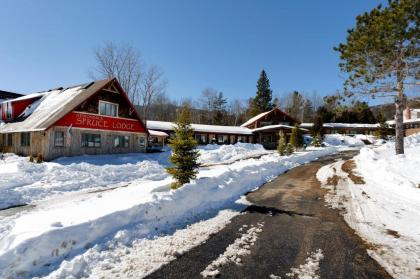 Adirondack Spruce Lodge - image 4