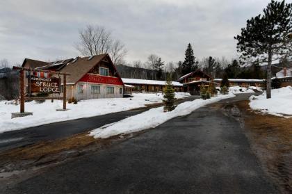 Adirondack Spruce Lodge - image 9