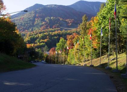 Whiteface Mountain Chalet - image 9