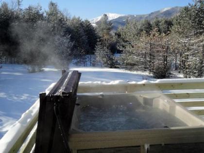 Whiteface Mountain Chalet - image 4