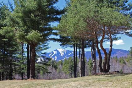 Esther Mountain Chalet - image 11