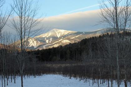 Esther Mountain Chalet - image 14