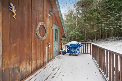 Vermont Chalet - image 9