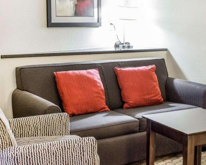 Comfort Suites Wilson - image 9