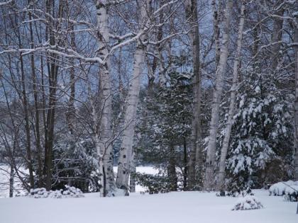 Wilson Lake Inn - image 15