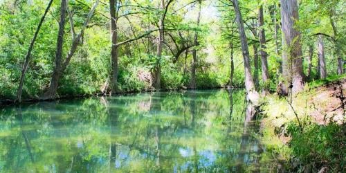 Rock House on Cypress Creek - main image