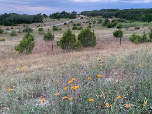 Tentrr Signature Site - Inspiring Oaks Ranch - image 2