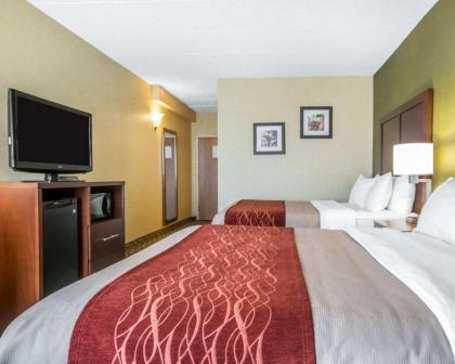 Comfort Inn - Winchester - image 4