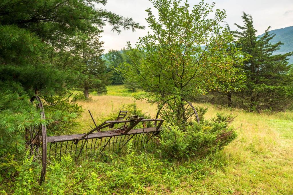 Tentrr - Pleasant Valley Maplecroft Camp - image 3