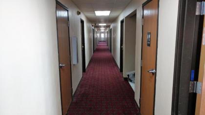 Red Carpet Inn - Windom - image 4