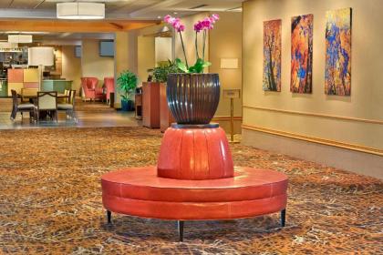 Sheraton Hartford Hotel at Bradley Airport - image 15