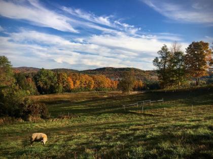 Fat Sheep Farm & Cabins - image 10