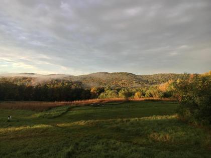 Fat Sheep Farm & Cabins - image 12