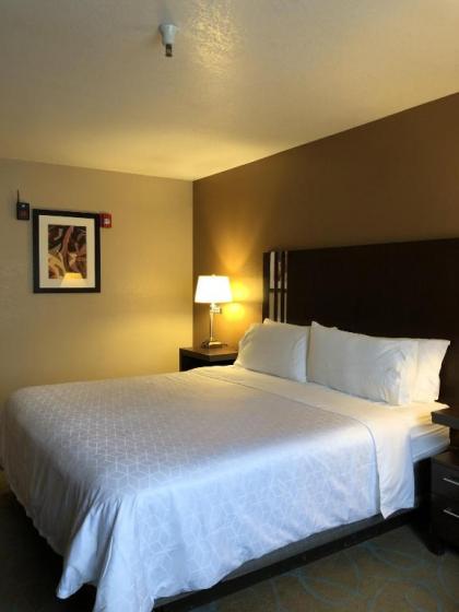 Holiday Inn Express Winnemucca an IHG Hotel - image 7