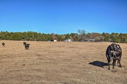 Little Lucky Star with Pond Boat and Pasture View! - image 13