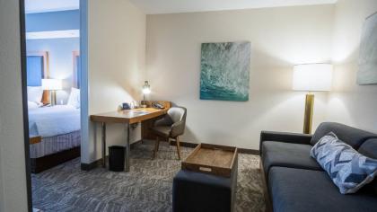 SpringHill Suites by Marriott Winston-Salem Hanes Mall - image 8