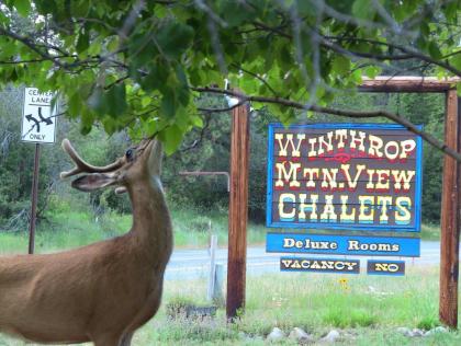 Winthrop mountain View Chalets Winthrop Washington