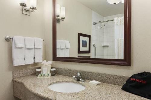 Hilton Garden Inn Wisconsin Dells - image 2