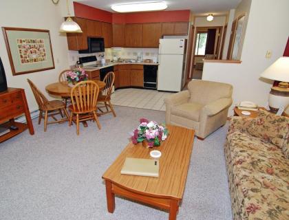 Family Friendly Vacation Rentals in the Wisconsin Dells - image 10