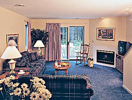 Family Friendly Vacation Rentals in the Wisconsin Dells - image 11