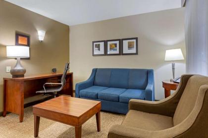 Comfort Suites Near Potomac Mills - image 12