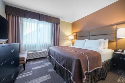 Holiday Inn Express Hotel & Suites St. Paul - Woodbury an IHG Hotel - image 2