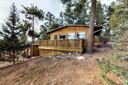 Little Doe Cabin Woodland Park 