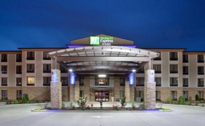 Holiday Inn Express  Suites St Louis Airport an IHG Hotel Missouri