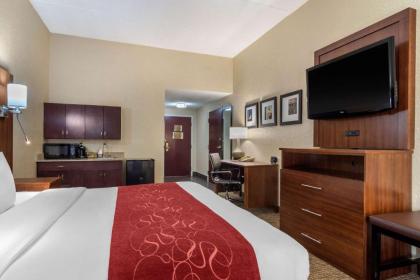 Comfort Suites Woodstock - image 15