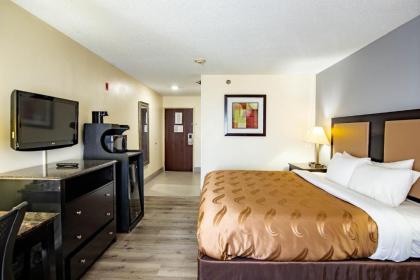 Quality Inn & Suites - image 12