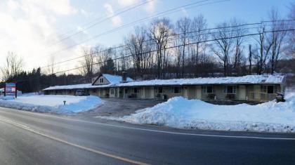 Sleep Woodstock Motel - image 6