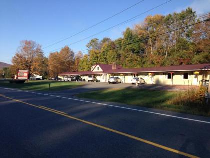 Sleep Woodstock Motel - image 7